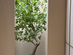 -宫七SPA·高端Massage(浦东大道店)