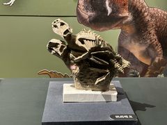 -遇见博物馆(遇见海洋沉浸式奇幻光影展)