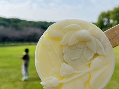 -苏州上方山国家森林公园