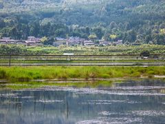 -腾冲北海湿地