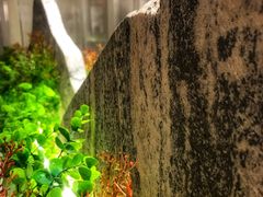 -兰溪小馆(首经贸店)