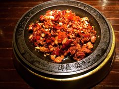 -天山醉美辣子鸡(文艺路店)