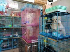 -万商花鸟市场