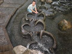 -成都市活水公园