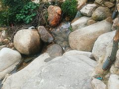 -老张烤羊(王哥庄店)