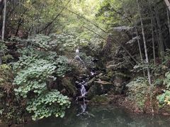 -藏龙百瀑风景区