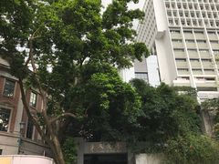 -香港大学