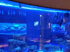 -上和臻品中国菜(花园街店)