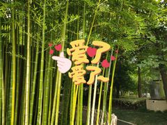 -陈家山荷花公园