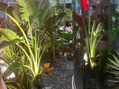 -一沙一城·岩烤牛扒(深圳首店)