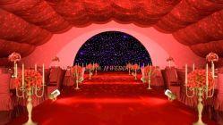 -汕尾陆丰婚庆婚礼司仪主持洪立策划公司(东海店)