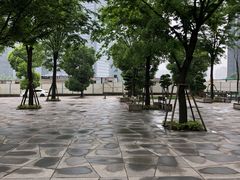 -重庆市江北嘴中央商务区中央公园