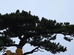 -妙峰山风景名胜区