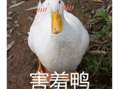 -凯荟·不止酸菜鱼(广州鸿德国际店)