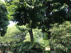 -永安龟山公园