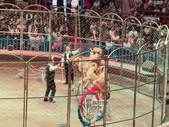 -俄罗斯国家大马戏团