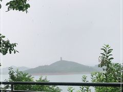 -望湖烤鱼