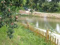 古韵农庄烧烤乐园-古韵山庄