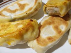 鲅鱼馅锅贴-金谷园饺子馆(北邮总店)