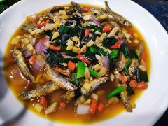 -国生茶庄·地道农家菜团建活动