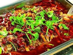 -重庆火锅水库鱼庄(南油店)