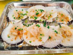 蒜蓉粉丝蒸元贝-巨元河鲜酒楼·清远特色菜名店(英德店)