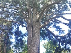 -终南山南五台景区