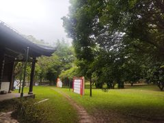 -福神岗公园