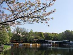-上海共青森林公园