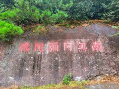 -玉苍山国家森林公园
