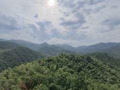 -宁波浙东大竹海景区