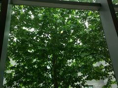 -香草意餐厅(杏石口路店)