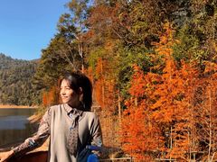 -广州市石门国家森林公园