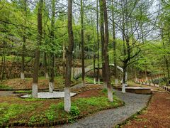 -莫干山风景区