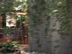 iphone_upload_pic-北京饭店诺金-东33餐厅
