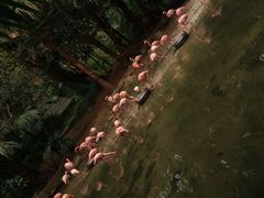 -东部华侨城