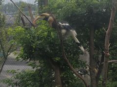 -武汉动物园