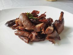 -绿杨春·淮扬宴(庐山路店)