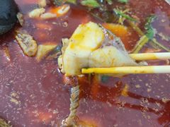 -重庆特色冷锅鱼(武大店)