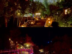 -宜春明月山维景国际温泉度假酒店