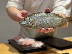 -镹·鱼料理  国产鱼使用店