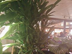 -拉蒂娜·巴西牛排馆 Latina·Brazilian Steakhouse(王府井喜悦店)