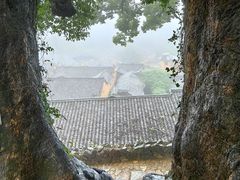 -杨家堂村