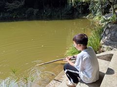 -铁山坪森林公园