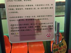 -猫咪博物馆(顶澳仔猫街店)