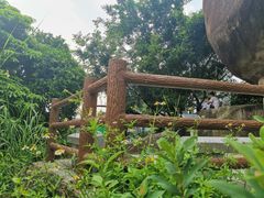 -火炉山森林公园