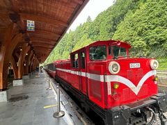 -阿里山神木遗迹