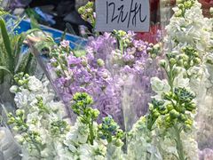 -循礼门鲜花花市(武汉循礼门店)