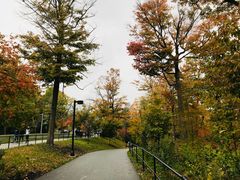 -尼亚加拉瀑布州立公园