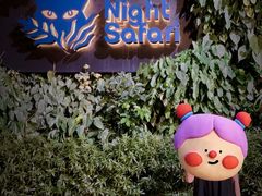 -夜间野生动物园